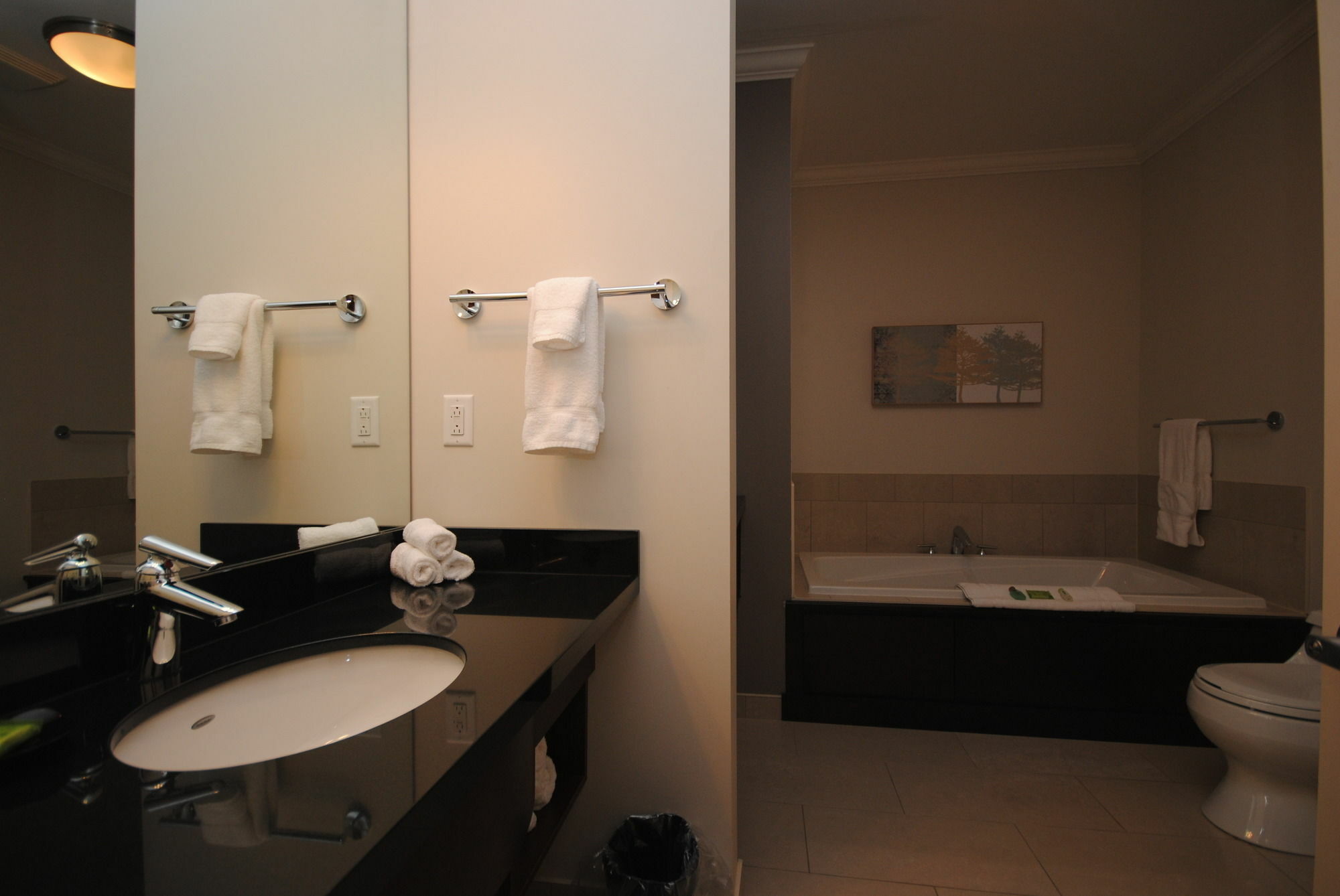 Premiere Suites - St. John'S Signal Hill Gate エクステリア 写真